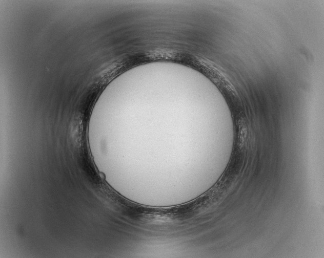 X0000116660498201001041113