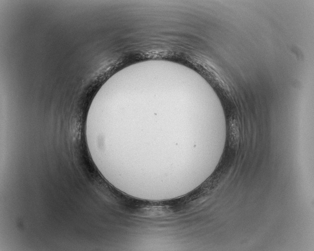 X0000116660499201001041113