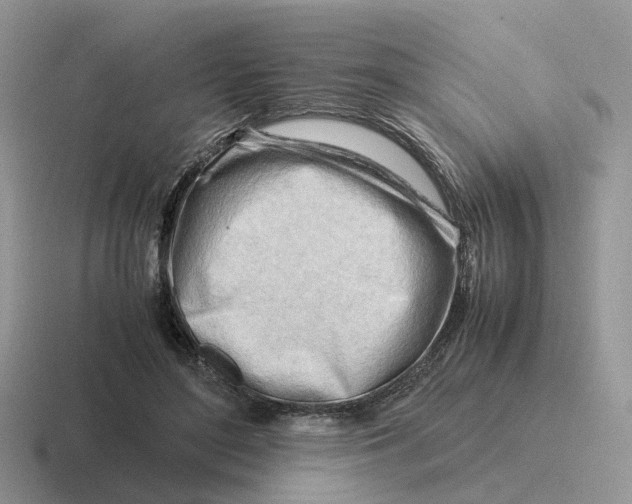 X0000116660500201001041113