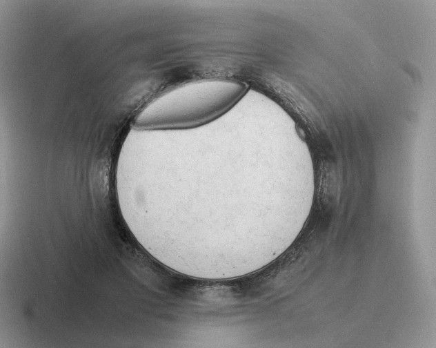 X0000116660501201001041112