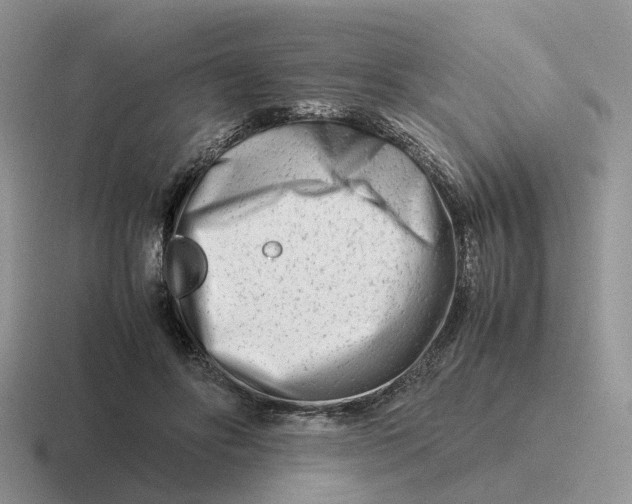 X0000116660502201001041112