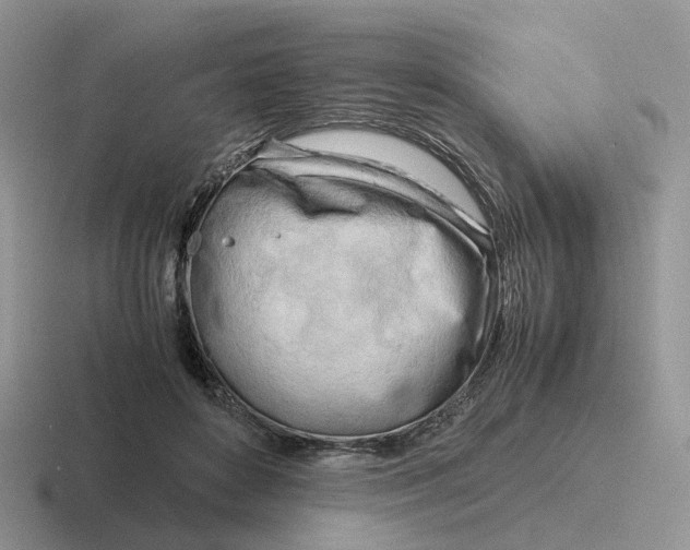 X0000116660504201001041112