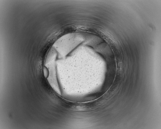 X0000116660506201001041112