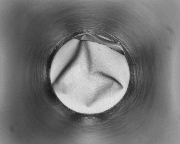 X0000116660508201001041112