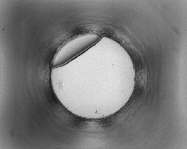 X0000116660509201001041112