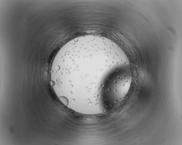 X0000116660510201001041112