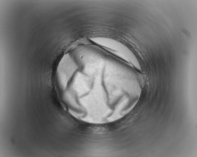 X0000116660512201001041112