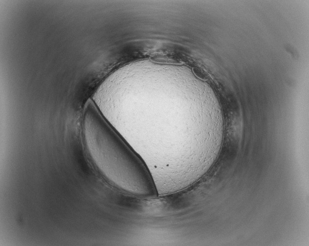 X0000116660513201001041112