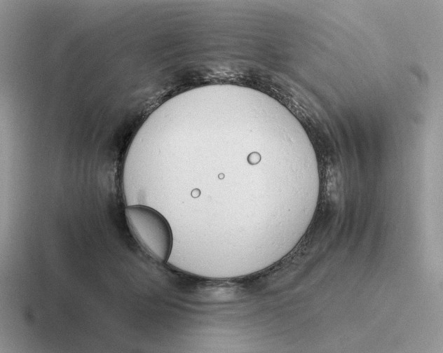 X0000116660514201001041112