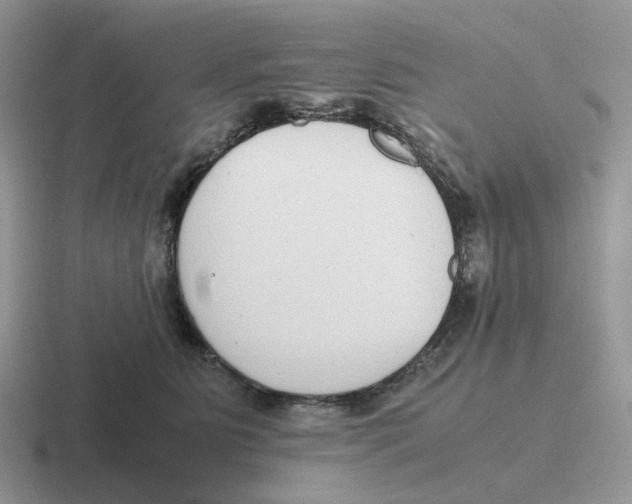 X0000116660515201001041112