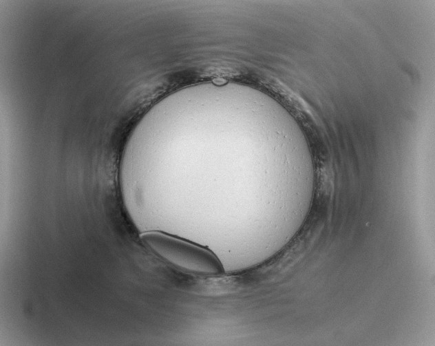 X0000116660517201001041112