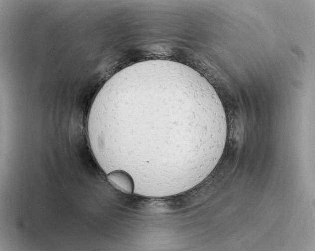 X0000116660518201001041112