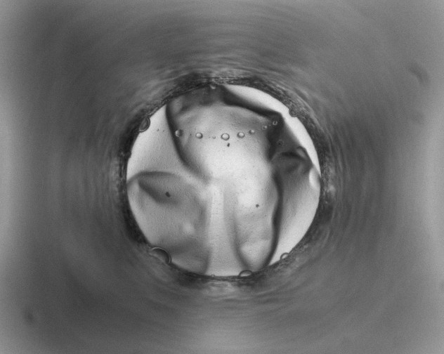 X0000116660519201001041112