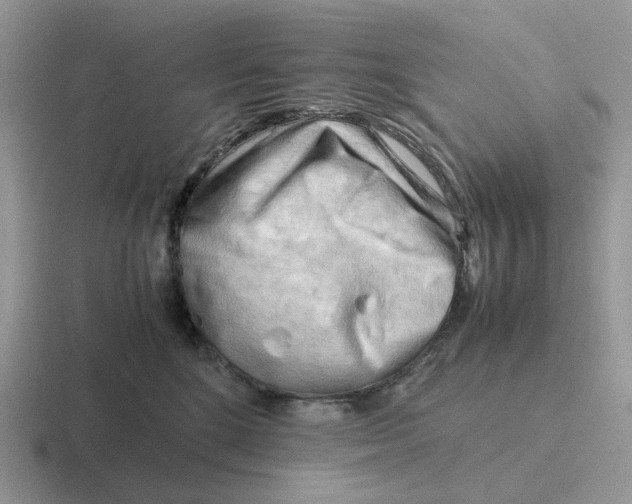 X0000116660520201001041112