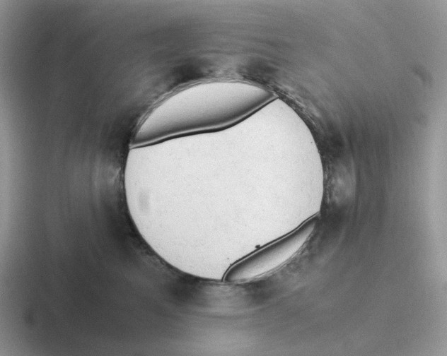 X0000116660521201001041112