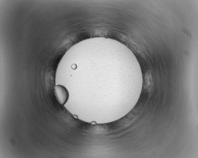 X0000116660522201001041112