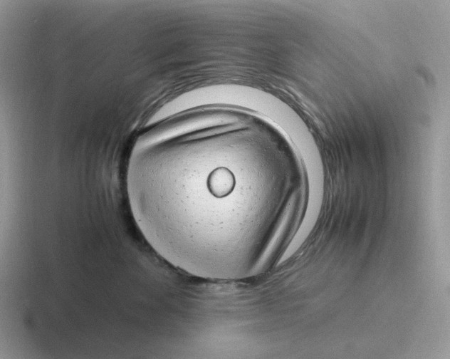 X0000116660524201001041112