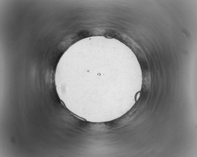 X0000116660525201001041112