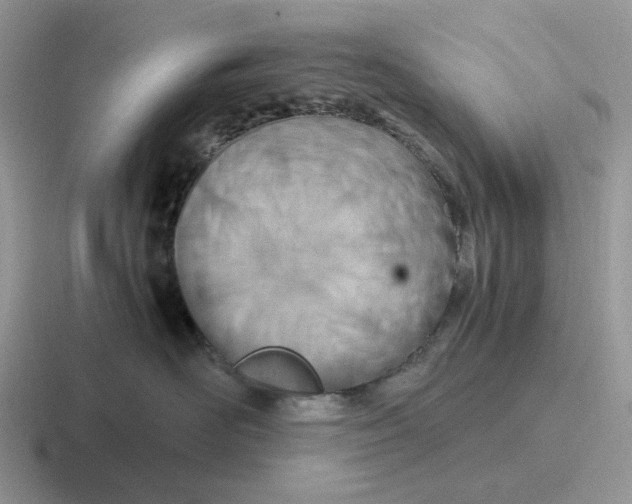 X0000116660526201001041112