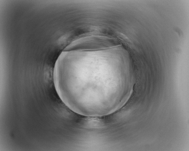 X0000116660528201001041112