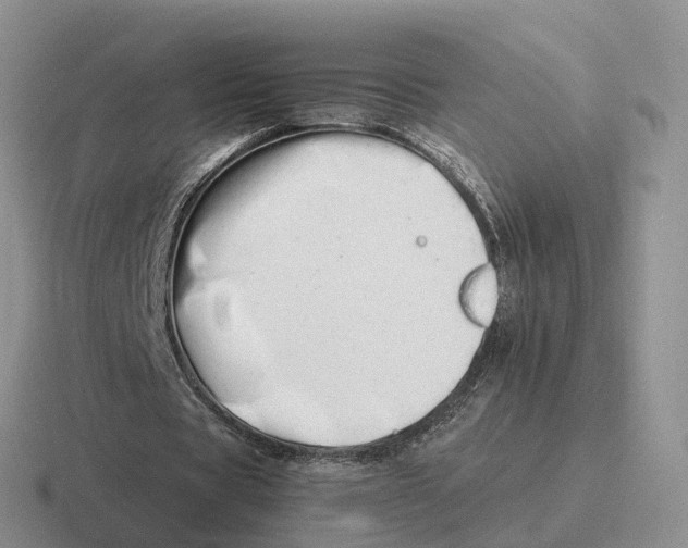 X0000116660529201001041112