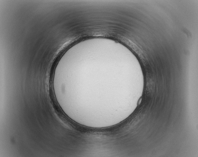 X0000116660530201001041112