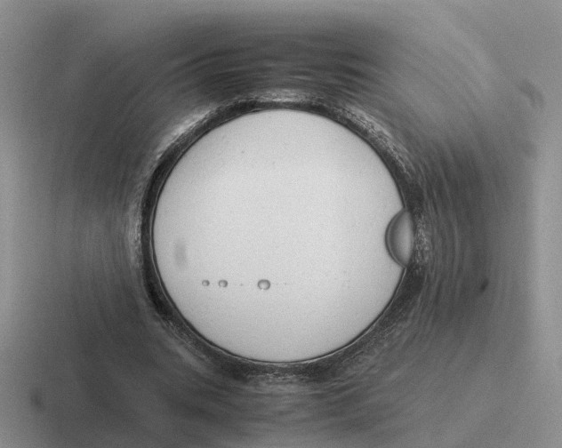 X0000116660535201001041112