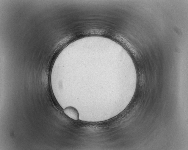 X0000116660537201001041112