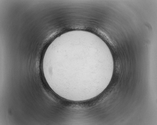 X0000116660538201001041112