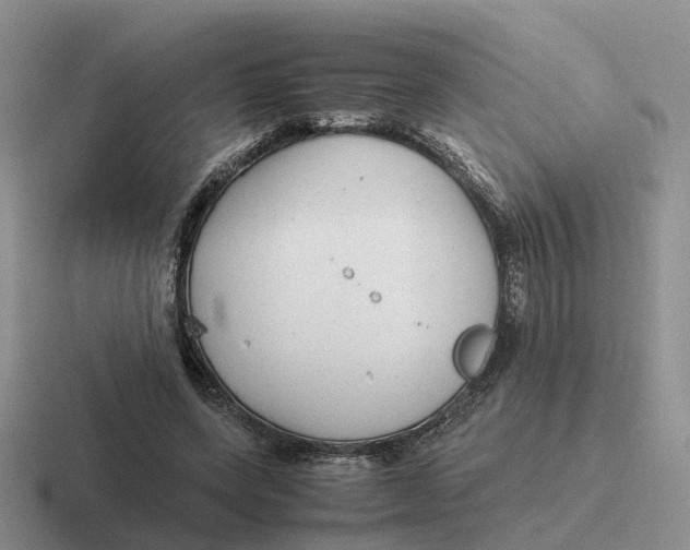 X0000116660543201001041112