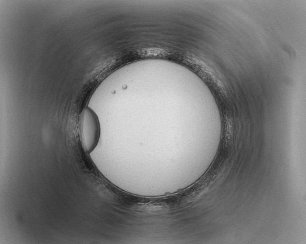 X0000116660545201001041112