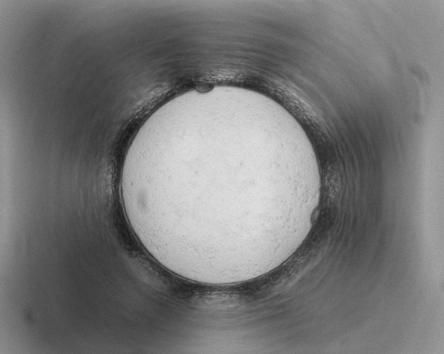 X0000116660546201001041112