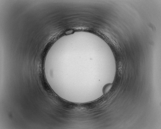 X0000116660547201001041112