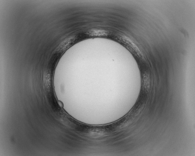 X0000116660549201001041112