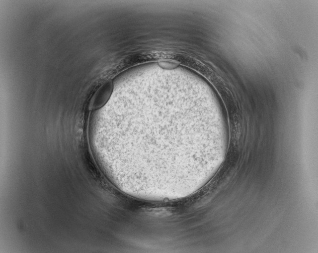 X0000116660553201001041112