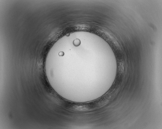 X0000116660557201001041112