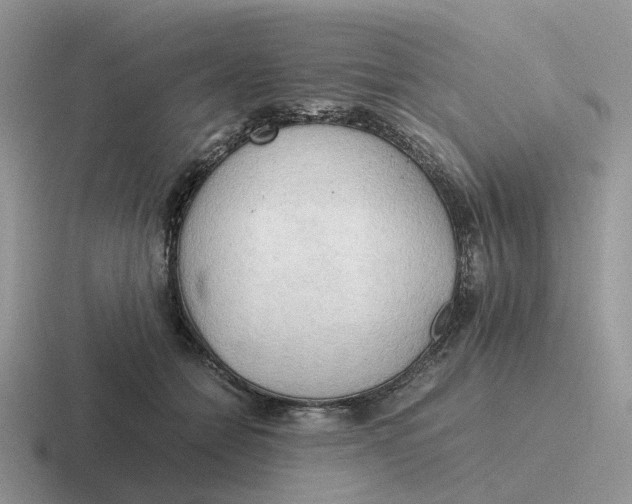 X0000116660558201001041112