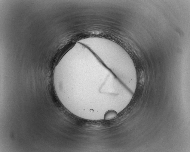 X0000116660559201001041112