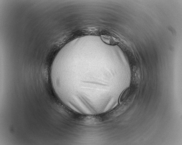 X0000116660562201001041112