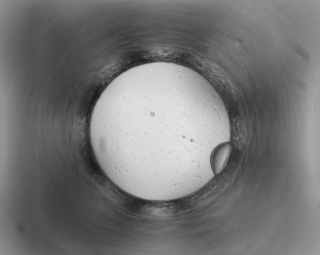 X0000116660563201001041112