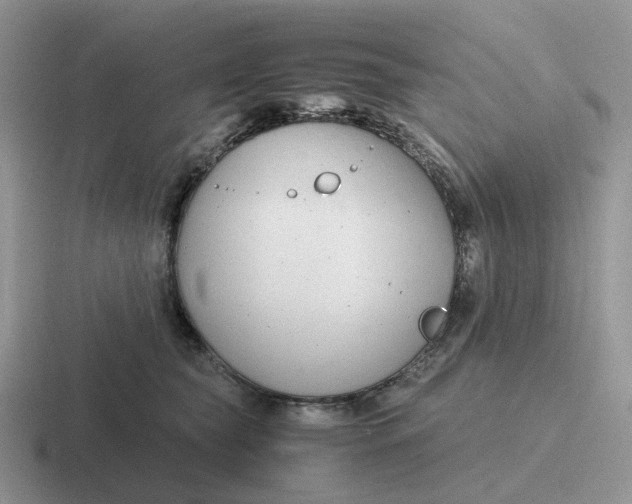 X0000116660565201001041112