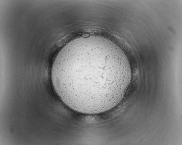 X0000116660566201001041112