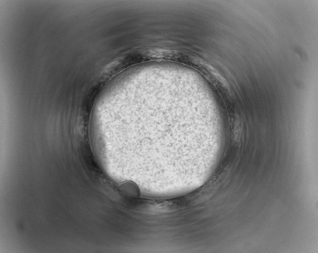 X0000116660569201001041112