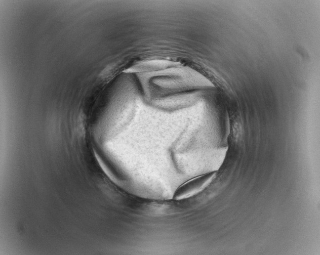 X0000116660570201001041112