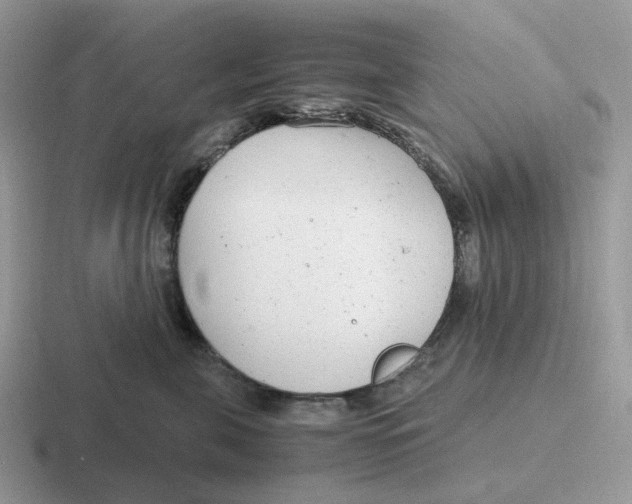 X0000116660571201001041112