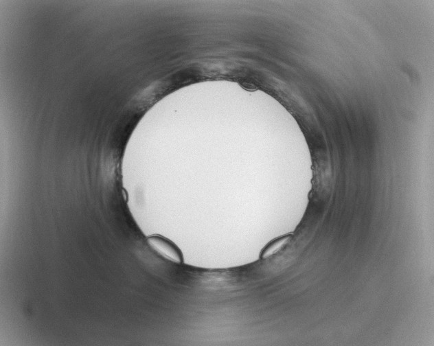 X0000116660574201001041112