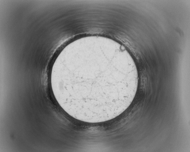 X0000116660584201001041111