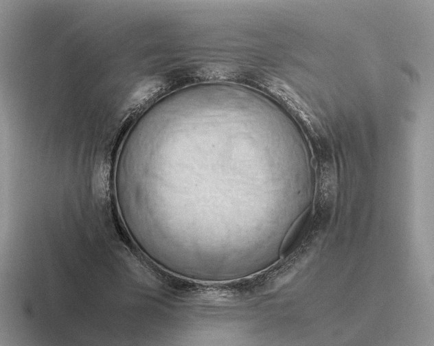 X0000116660585201001041111