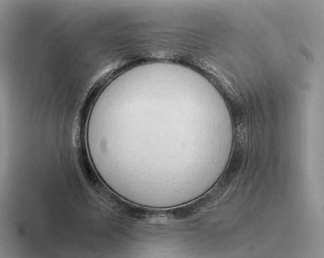 X0000116660587201001041111