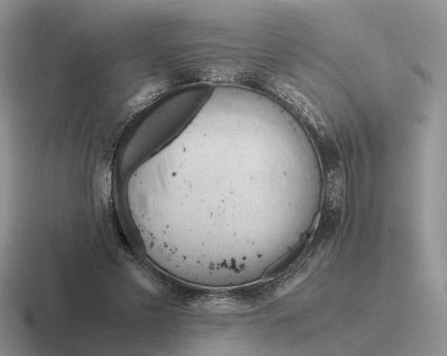 X0000116660589201001041111